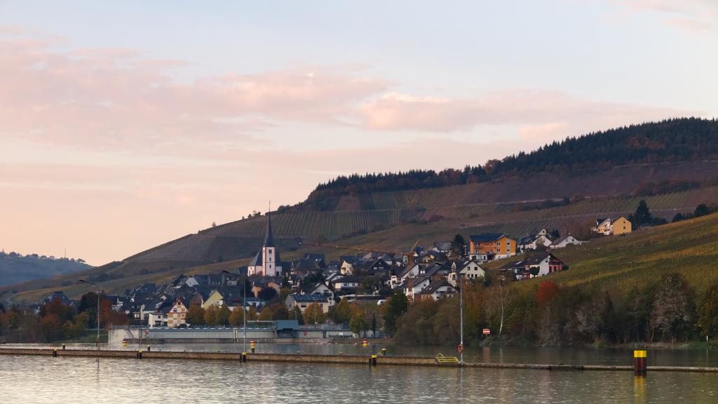 Ferienwohnung Am Edelberg Enkirch Ngoại thất bức ảnh